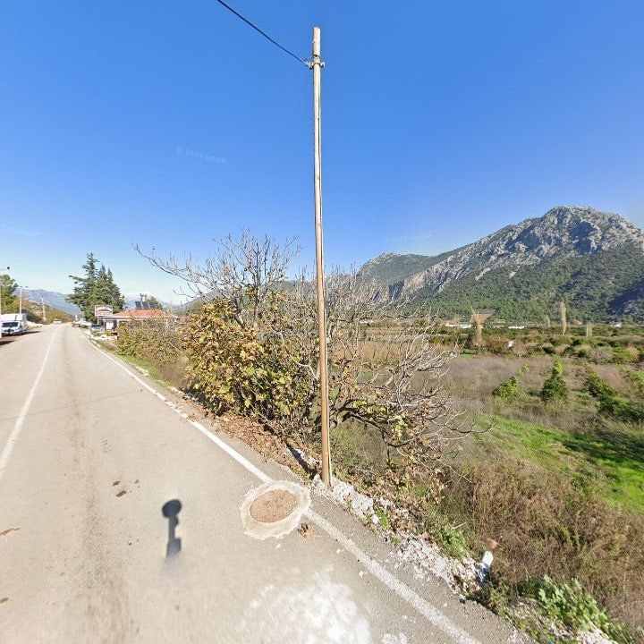 Fotoğraf 12