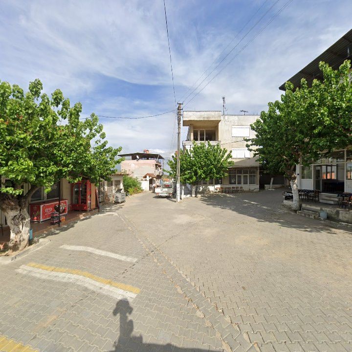 Fotoğraf 7