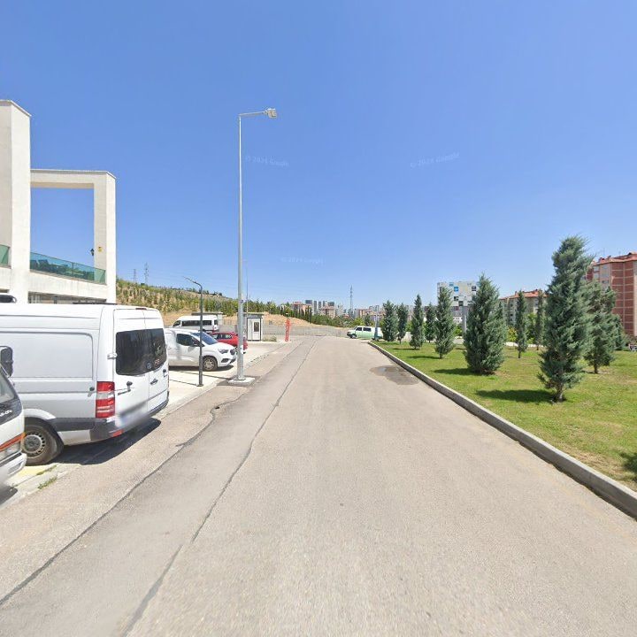 Fotoğraf 8