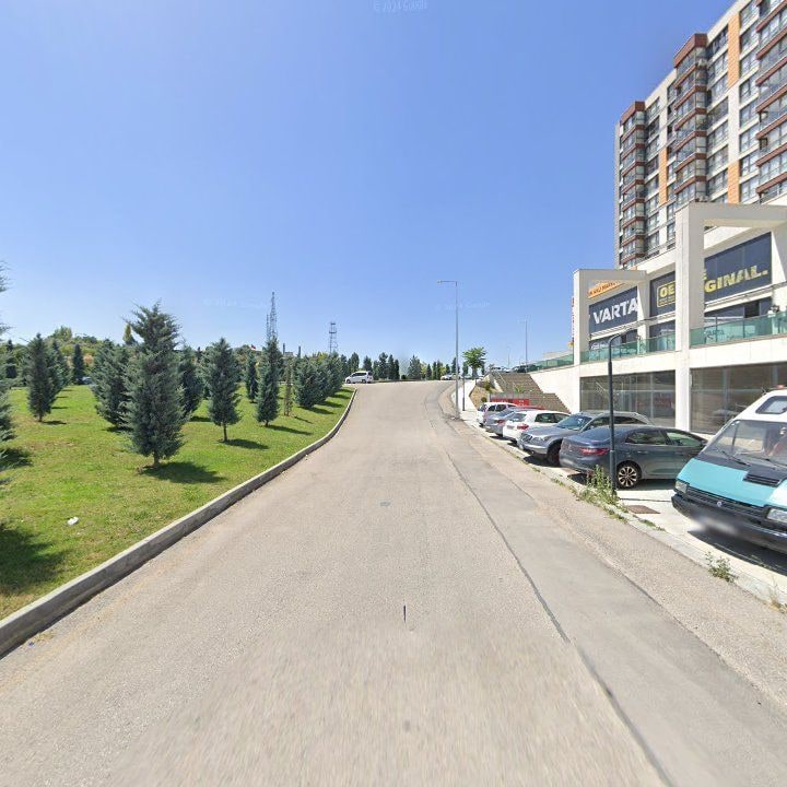Fotoğraf 10