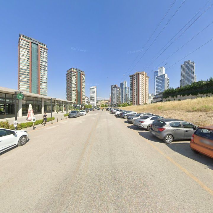 Fotoğraf 9
