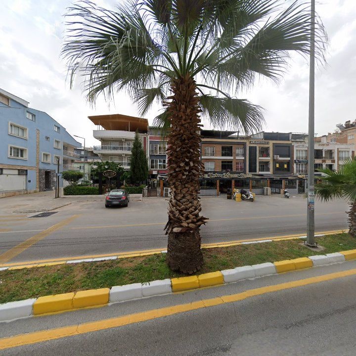 Fotoğraf 9