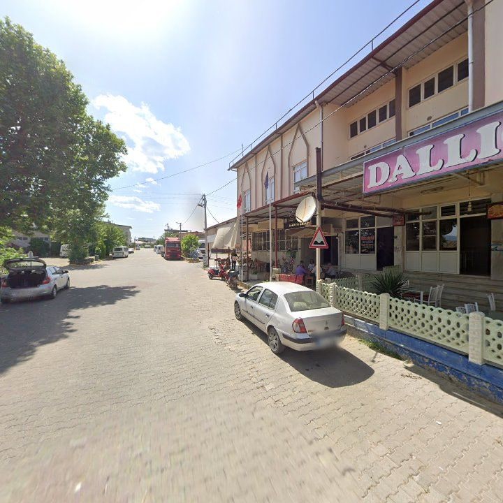 Fotoğraf 7