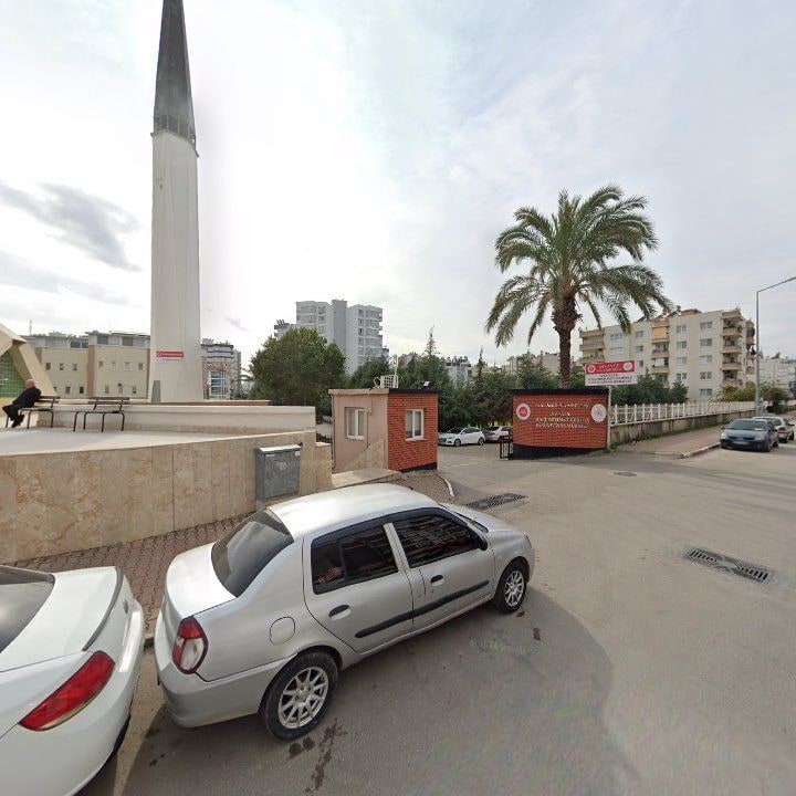 Fotoğraf 8