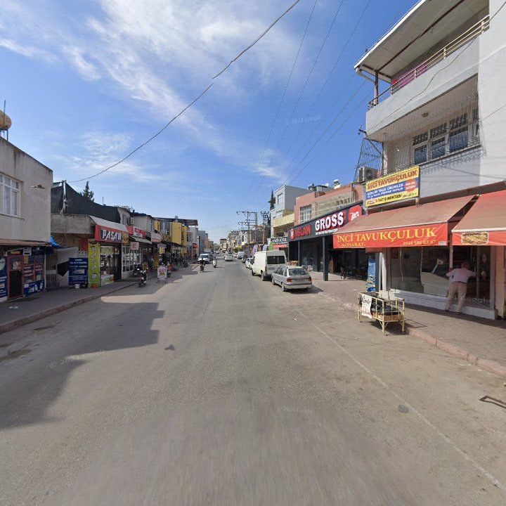 Fotoğraf 7
