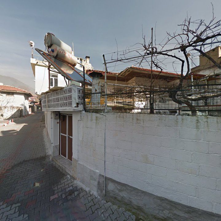 Fotoğraf 8