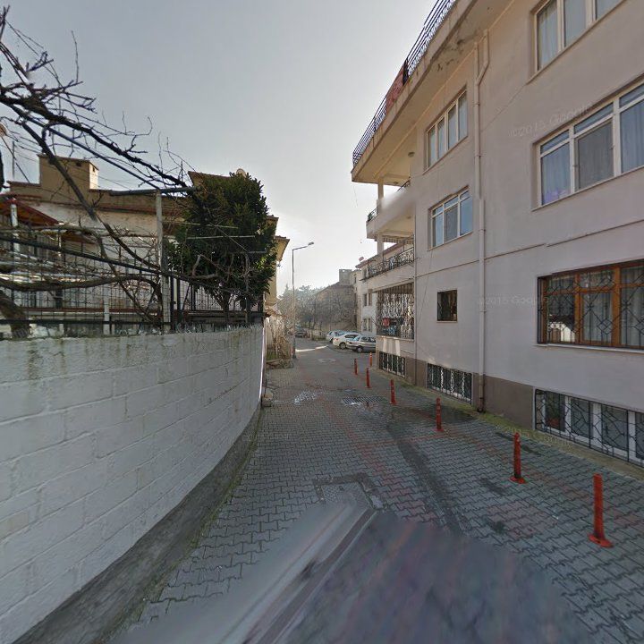 Fotoğraf 9