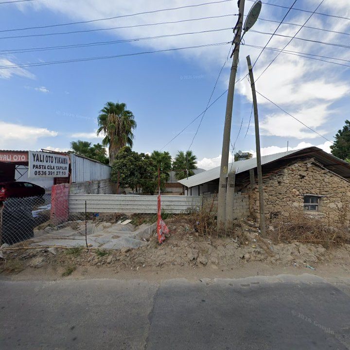 Fotoğraf 8