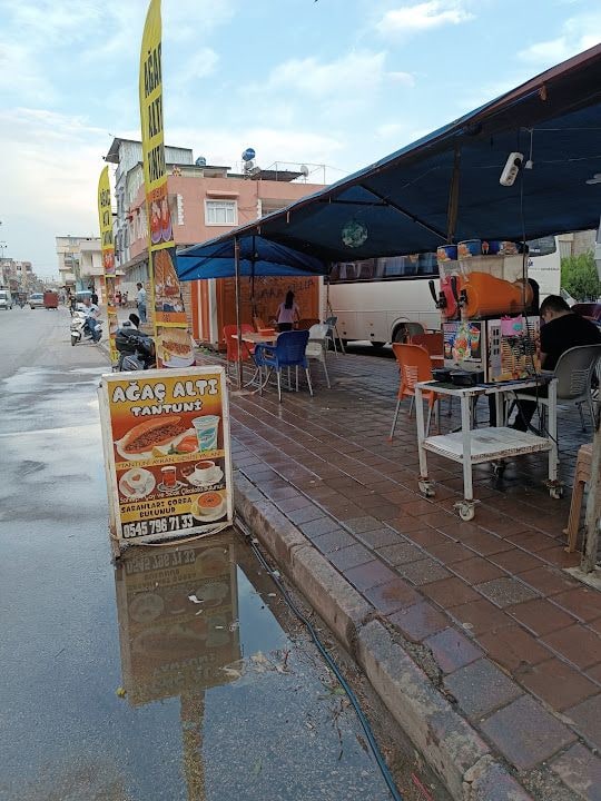 AĞAÇ ALTI TANTUNİ
