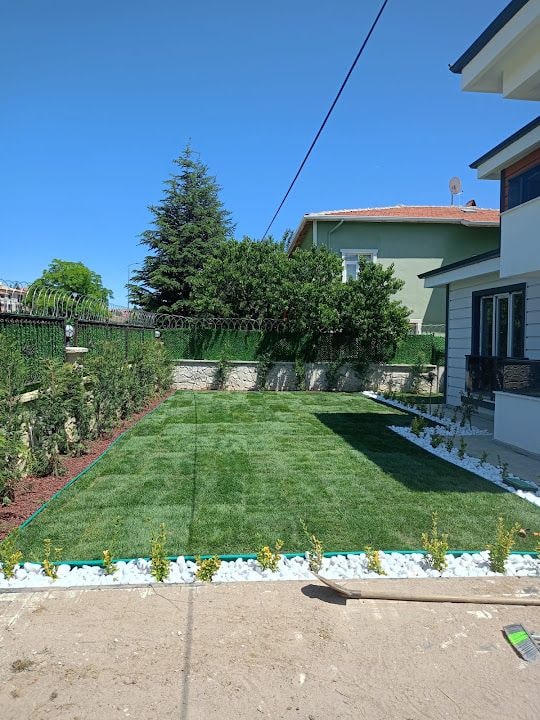 Ağaç Budama Peyzaj İşi Ankara