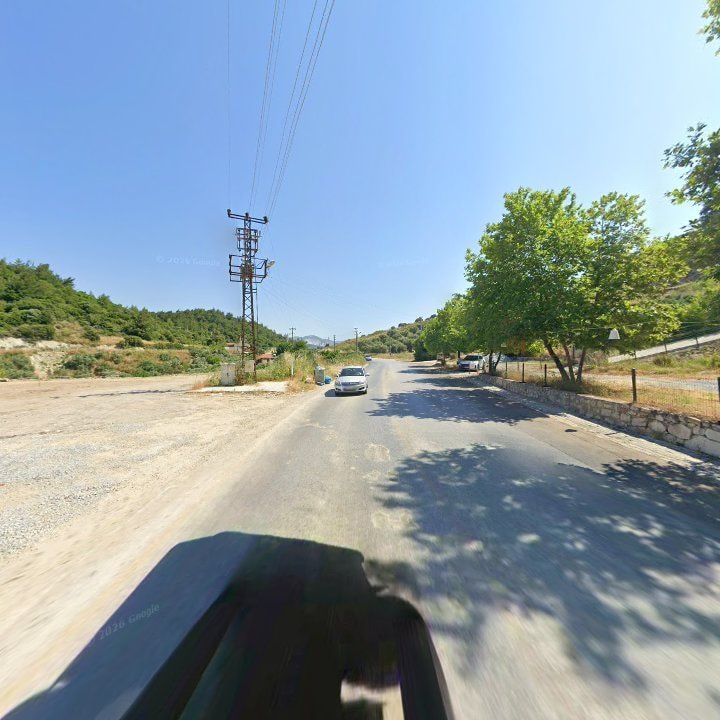 Fotoğraf 11