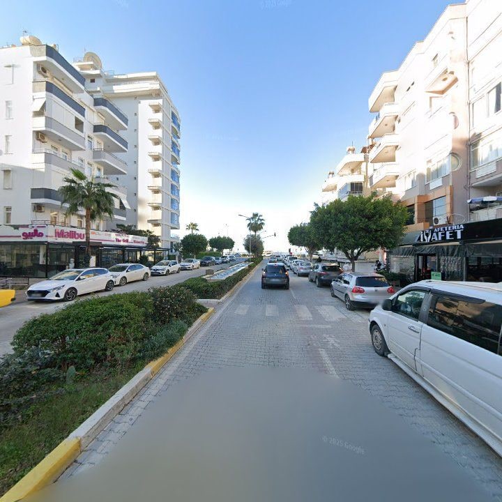 Fotoğraf 11