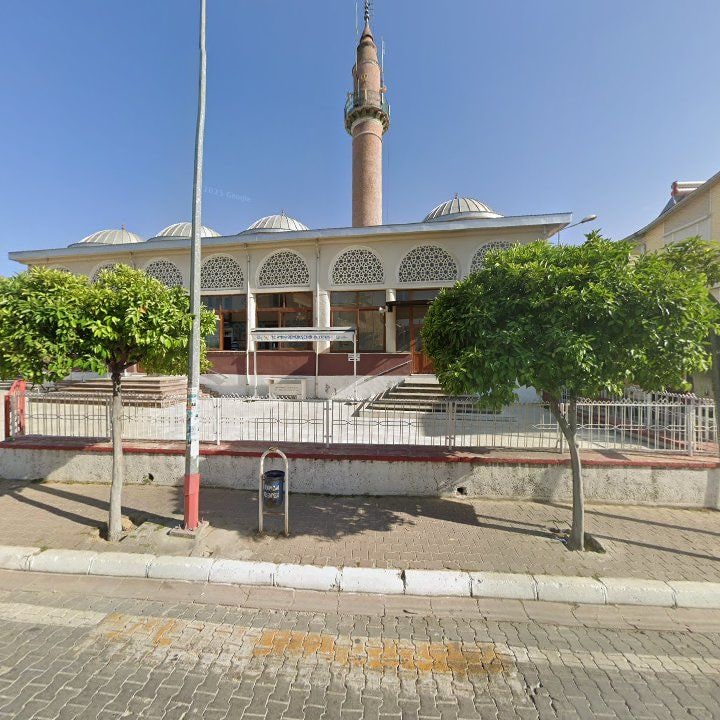 Fotoğraf 8