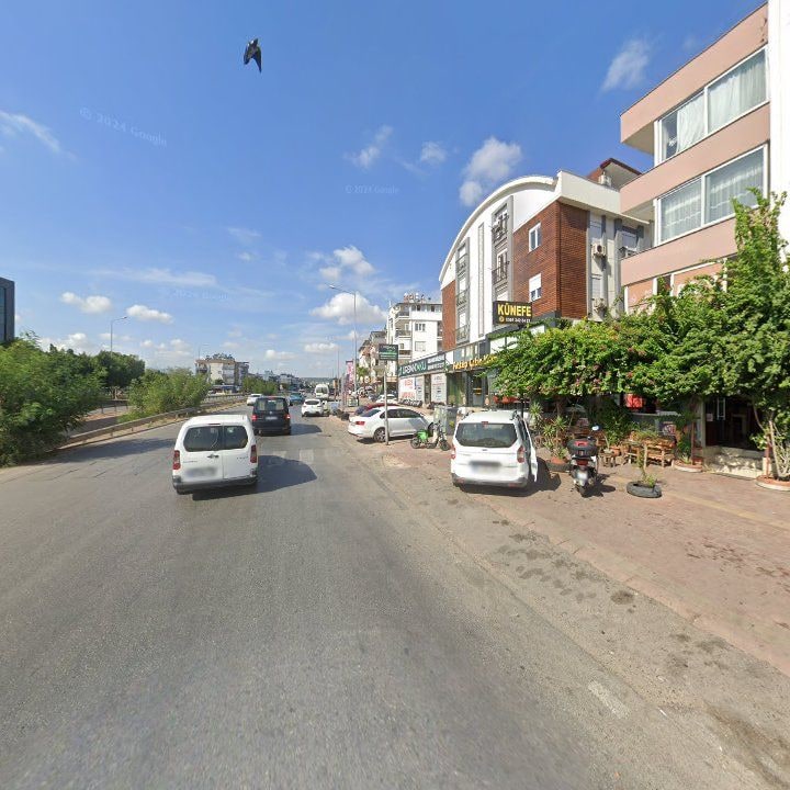 Fotoğraf 11