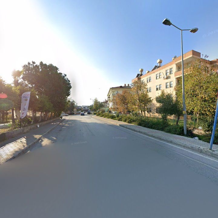 Fotoğraf 7