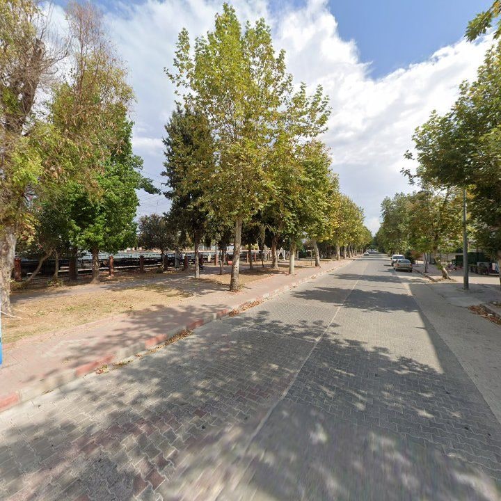 Fotoğraf 5