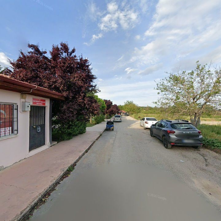 Fotoğraf 2