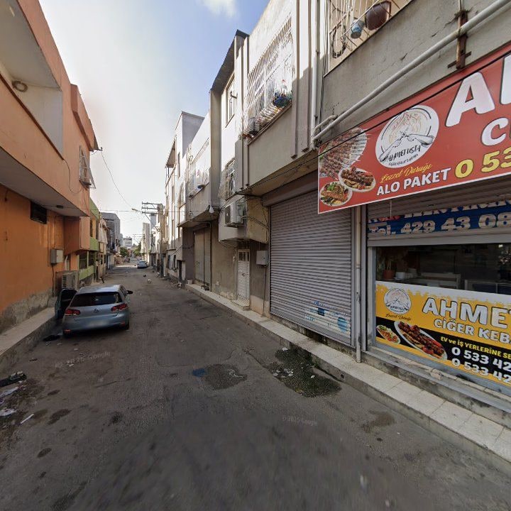 Fotoğraf 10