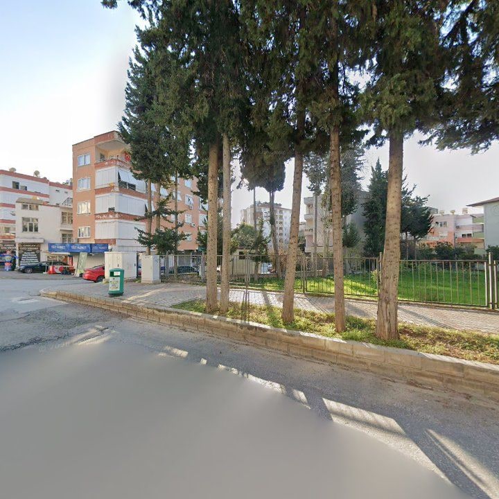 Fotoğraf 8