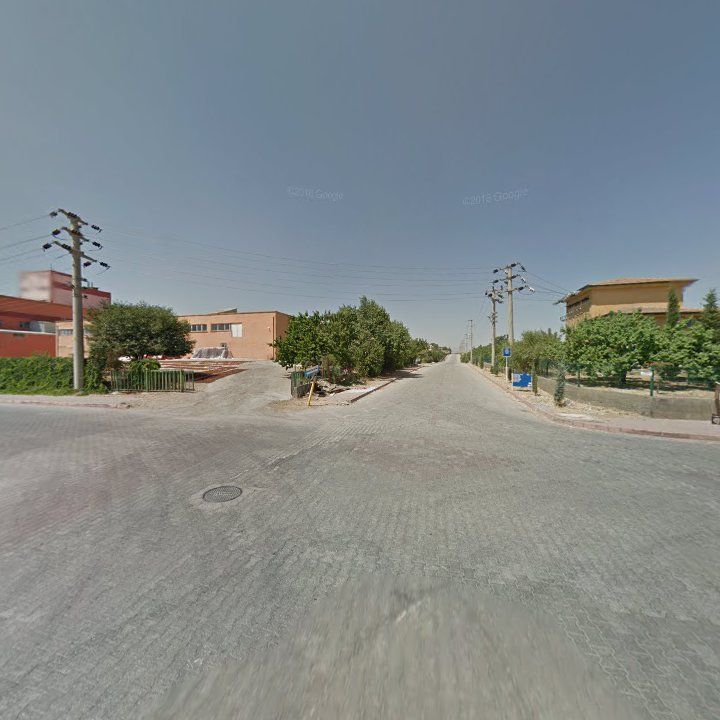 Fotoğraf 8