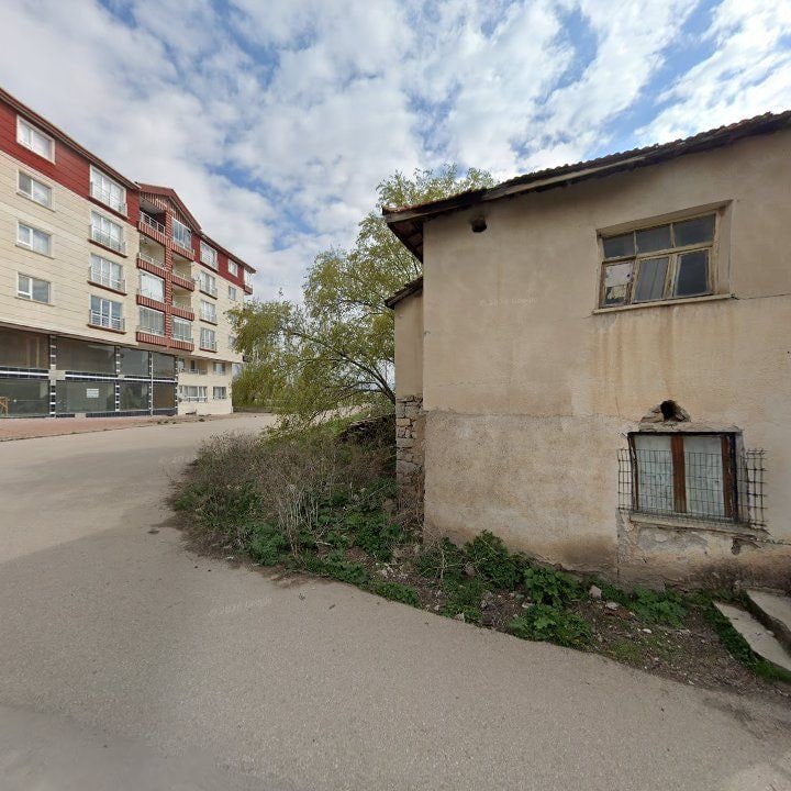 Fotoğraf 8