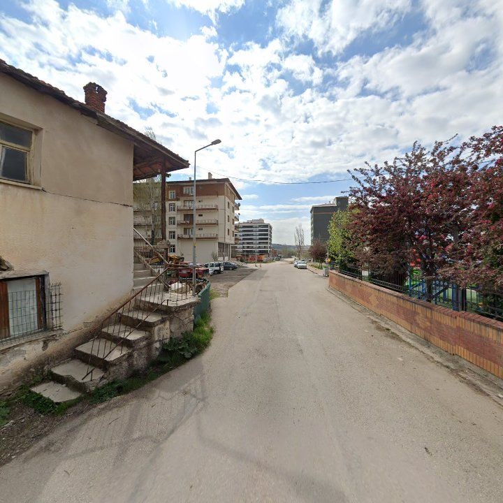 Fotoğraf 9