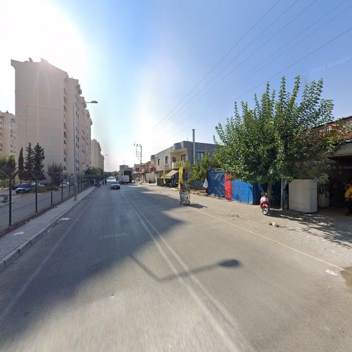 Fotoğraf 7