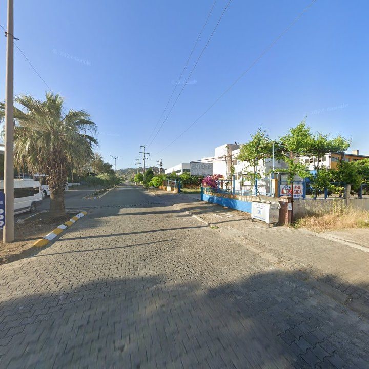 Fotoğraf 7
