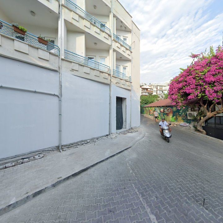 Fotoğraf 13
