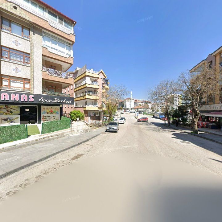 Fotoğraf 9