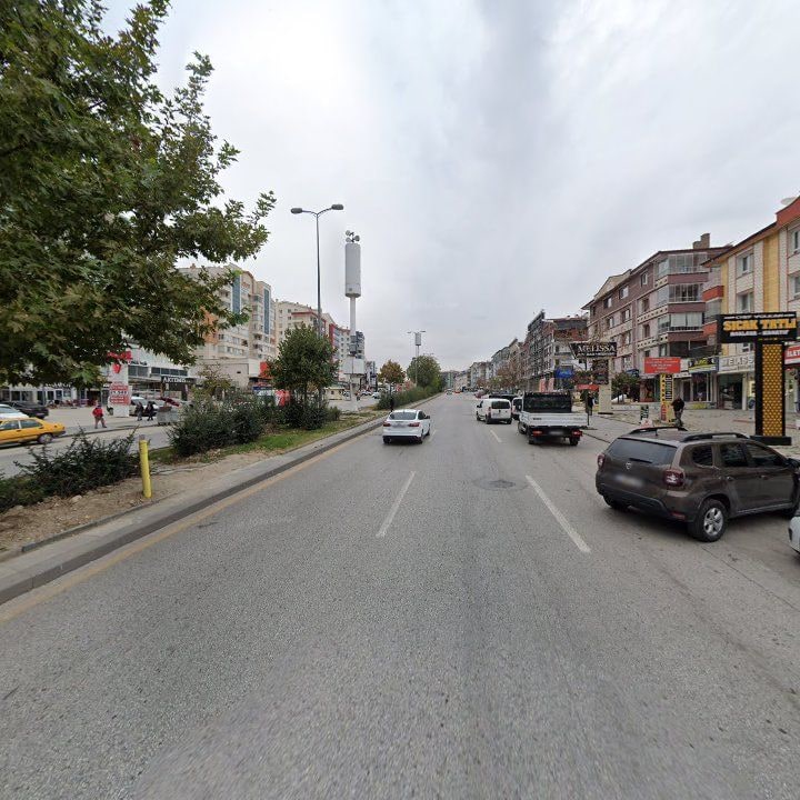 Fotoğraf 10