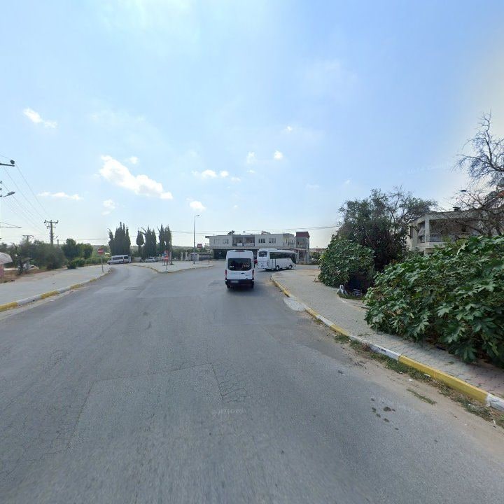 Fotoğraf 10