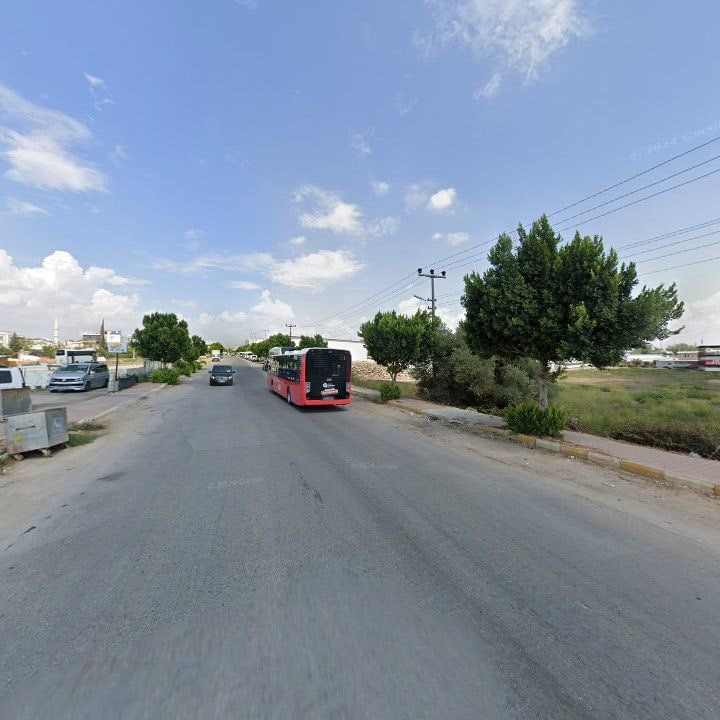 Fotoğraf 8