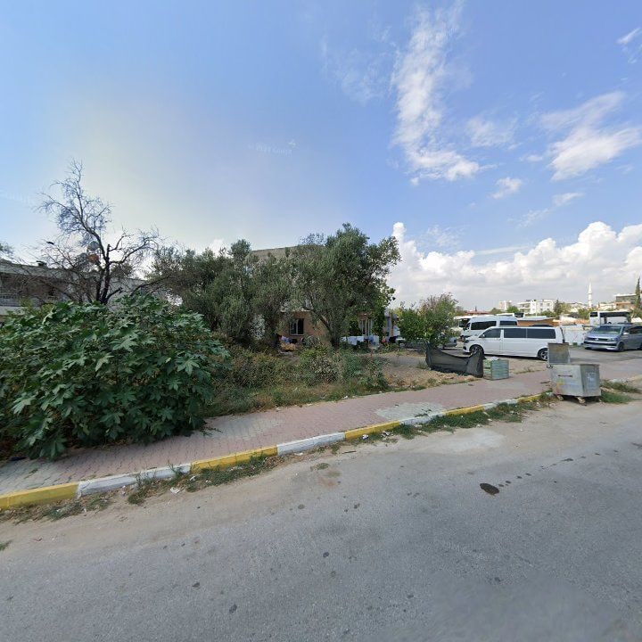 Fotoğraf 7