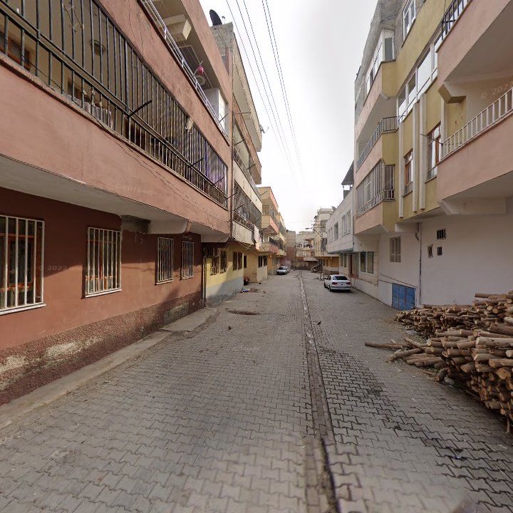 Fotoğraf 7