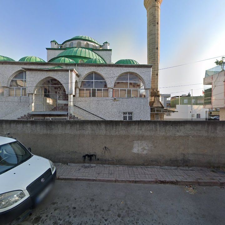 Fotoğraf 6
