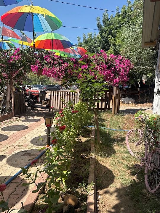 Akasya Pansiyon/bungalov