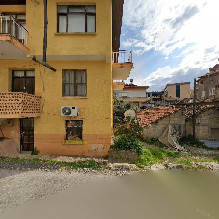 Fotoğraf 8