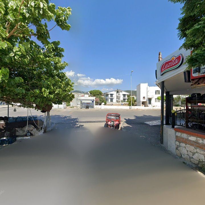 Fotoğraf 7