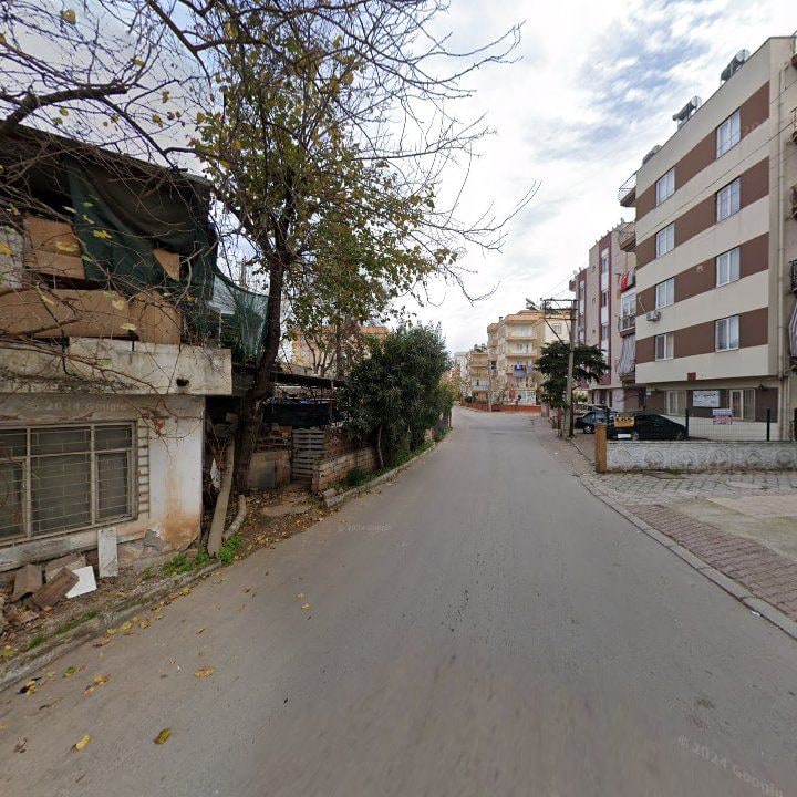 Fotoğraf 4