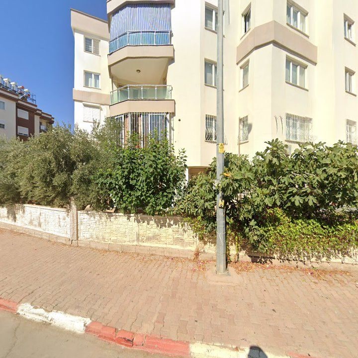 Fotoğraf 7