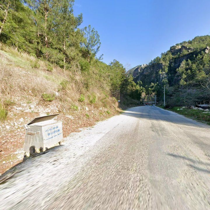 Fotoğraf 8