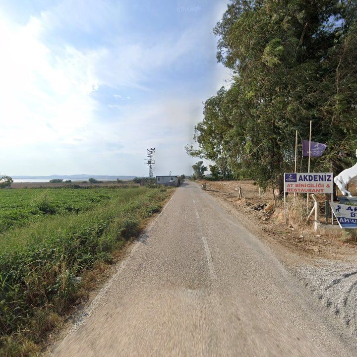 Fotoğraf 12