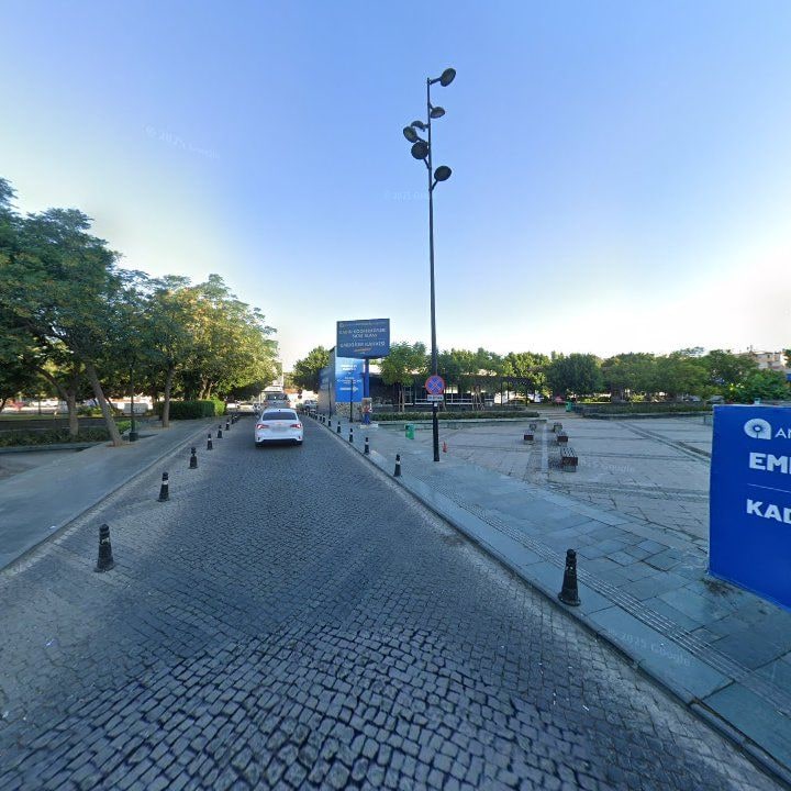 Fotoğraf 13