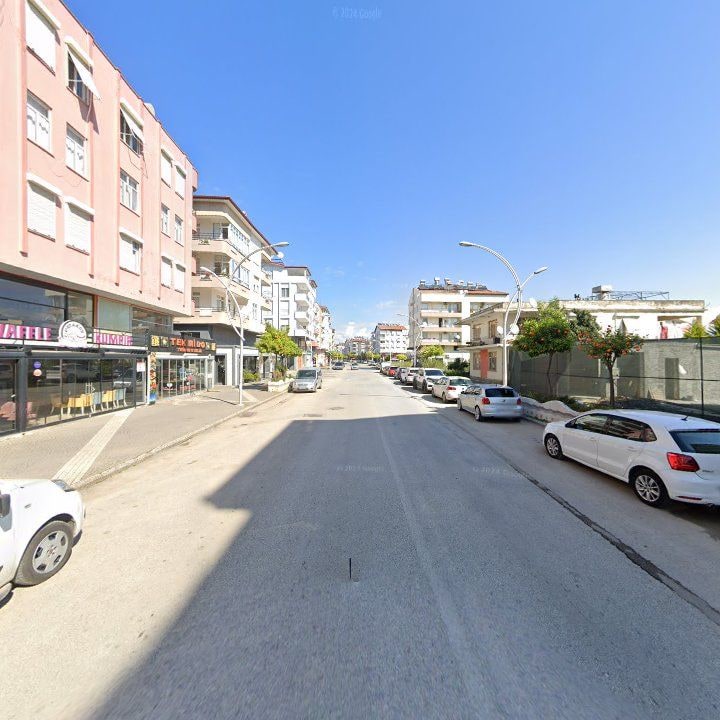 Fotoğraf 6