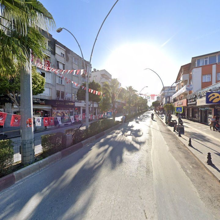 Fotoğraf 10