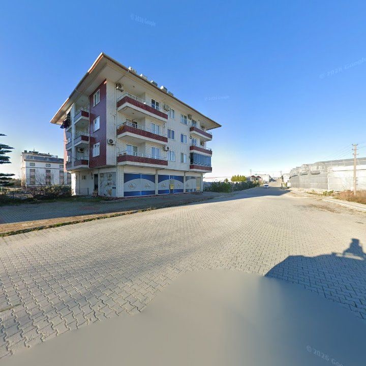 Fotoğraf 3