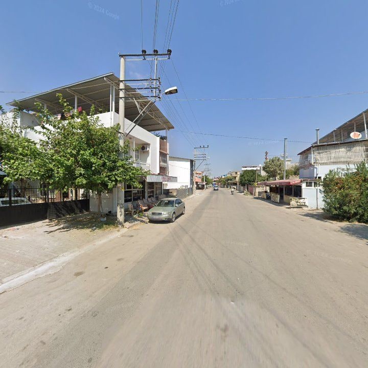 Fotoğraf 7