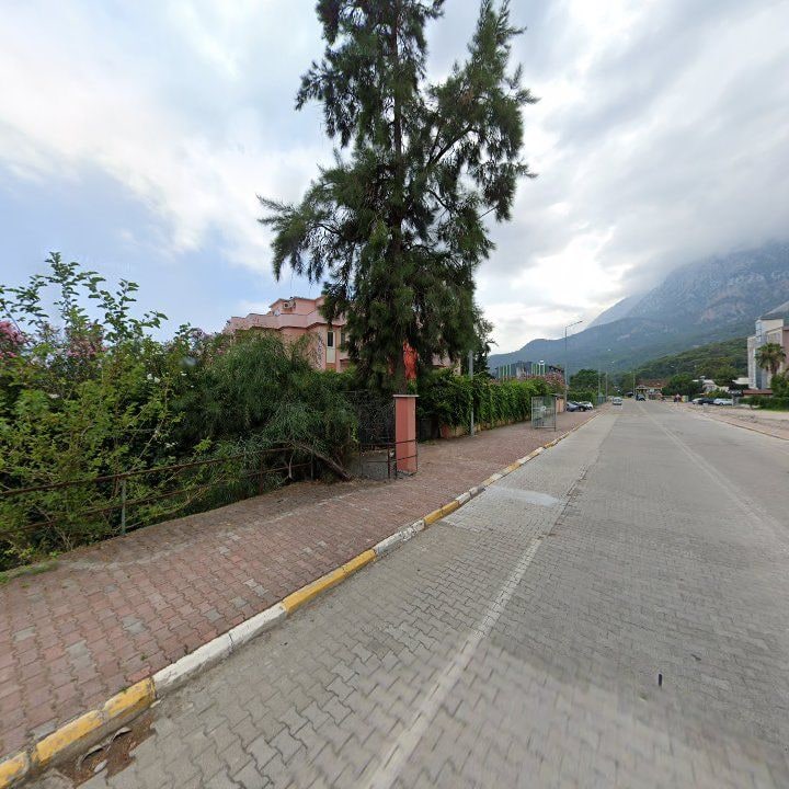 Fotoğraf 9