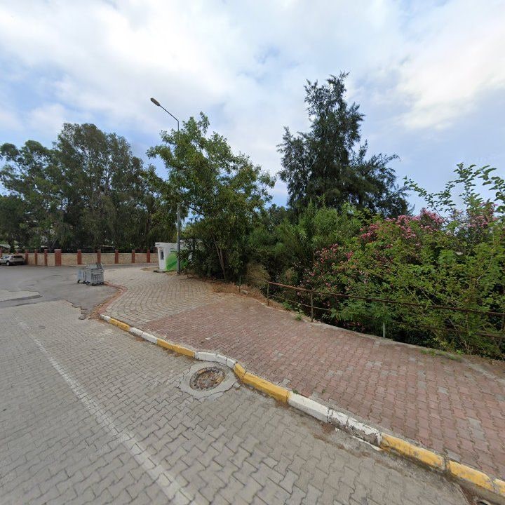 Fotoğraf 8